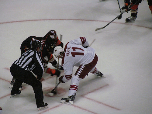 NHL Betting System for Arizona Coyotes today